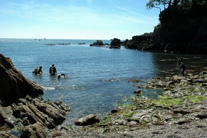 Dartmouth - Castle Cove and divers
