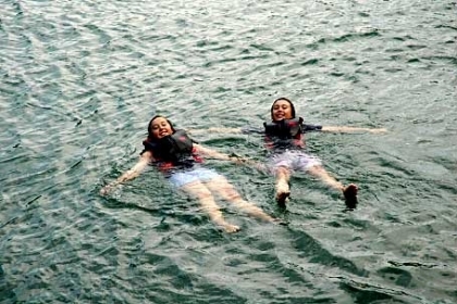 Swimmers - River Dart - Dartmouth